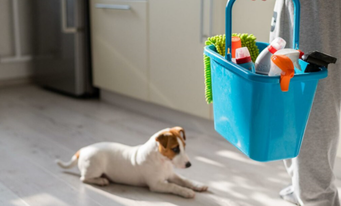 Pet Products Designed to Keep Your Home Clean